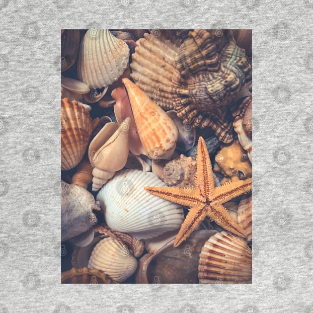 Summer Sea Seashell Starfish Travel Relax by eleonoraingrid